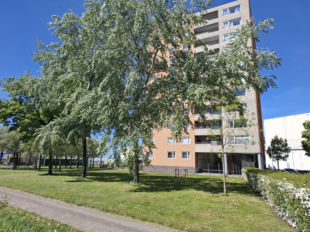 Foto 1 van Speedwellstraat 356 in Rotterdam