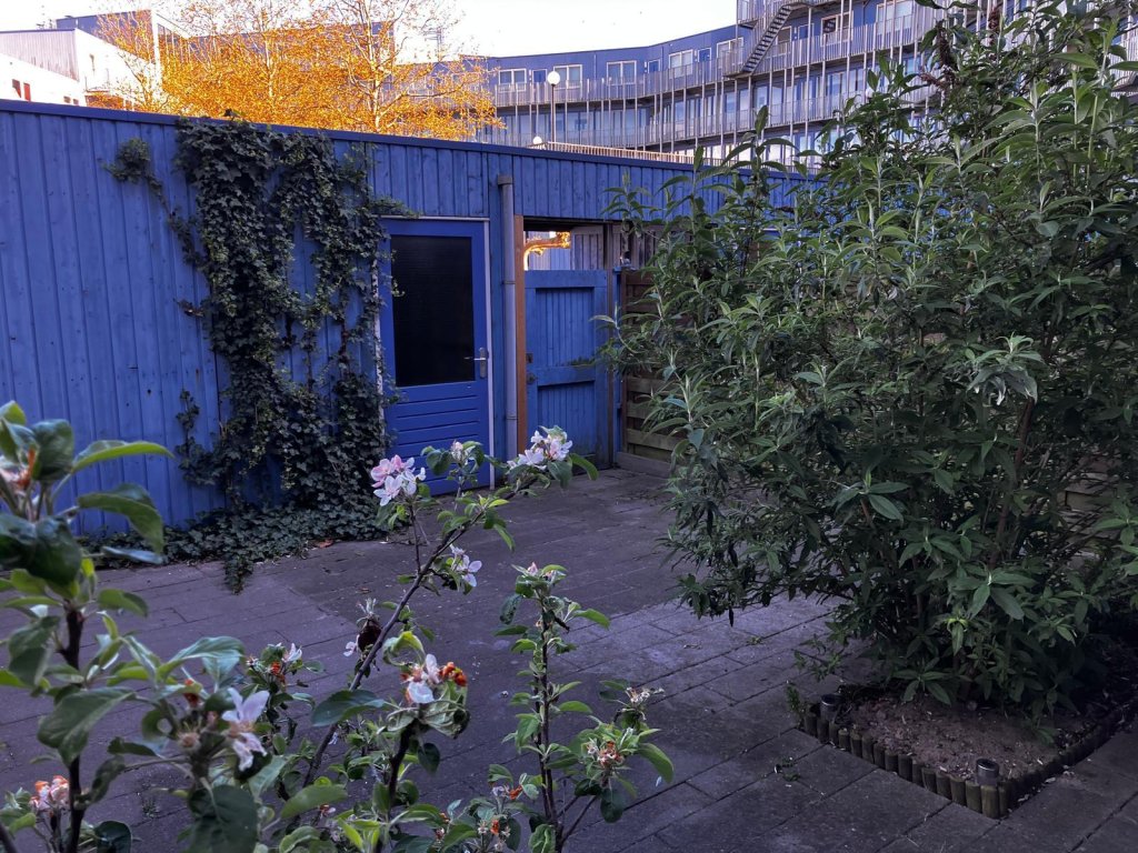 Family home in Haarlem