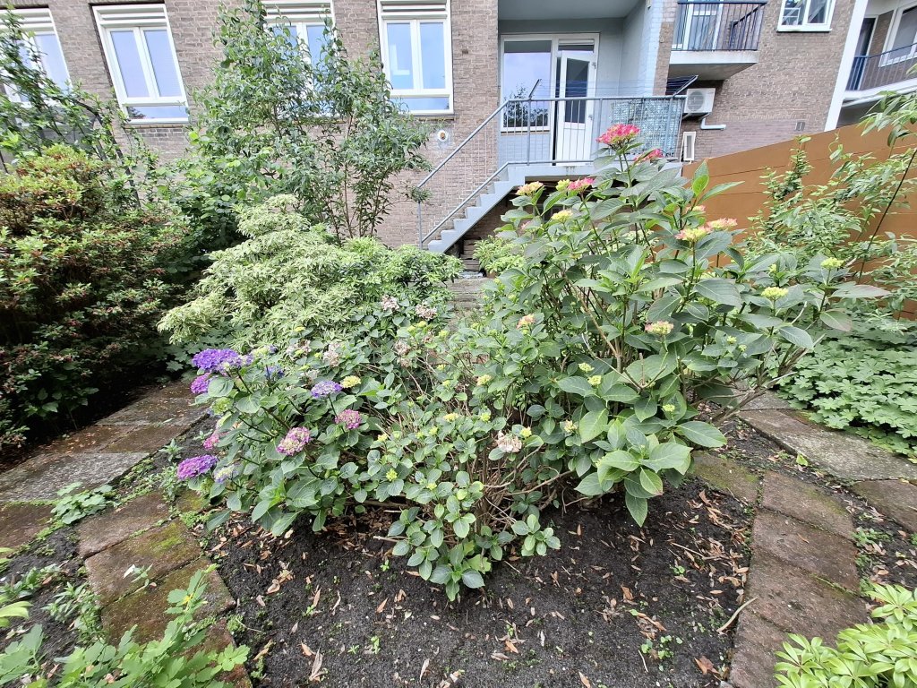 Foto 1 van Stadhoudersweg 53-A in Rotterdam