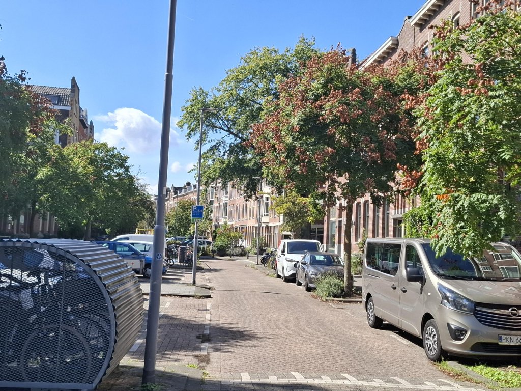 Foto 1 van C.P.Tielestraat 9-b in Rotterdam