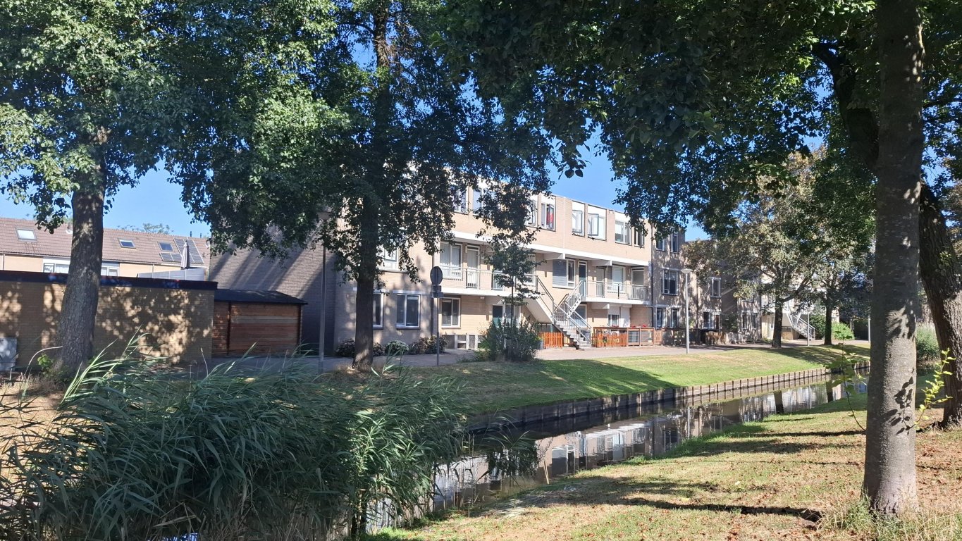 Foto 12 van Alerdincksingel 75 in Rotterdam