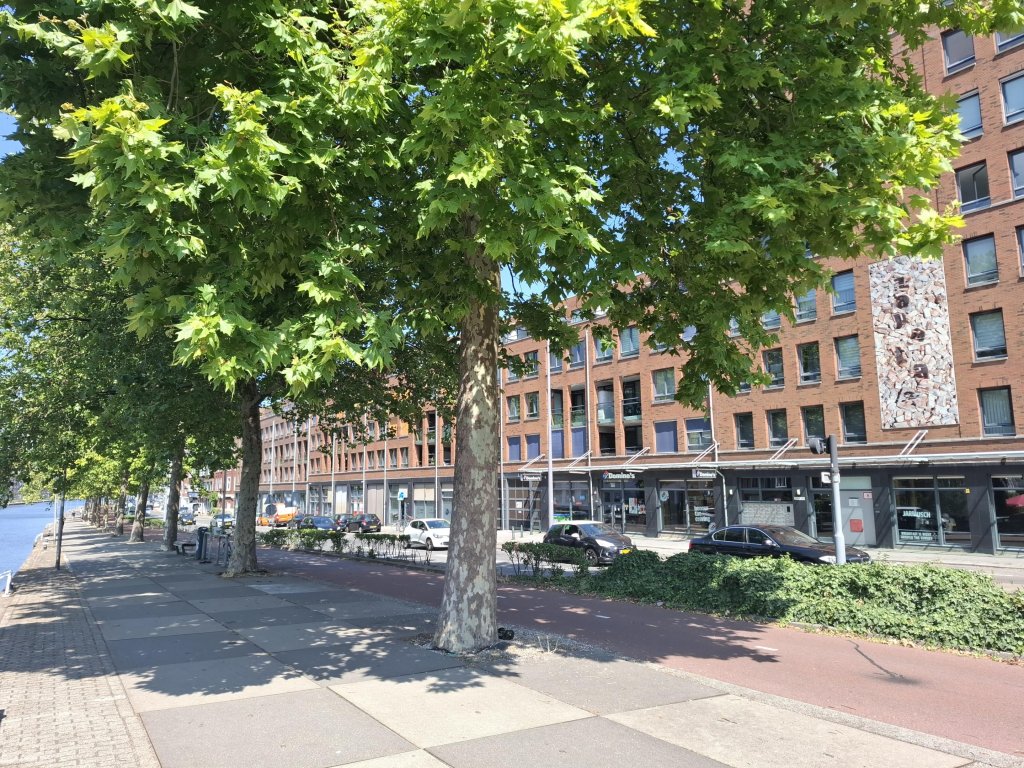 Foto 22 van Aelbrechtskade 230 in Rotterdam