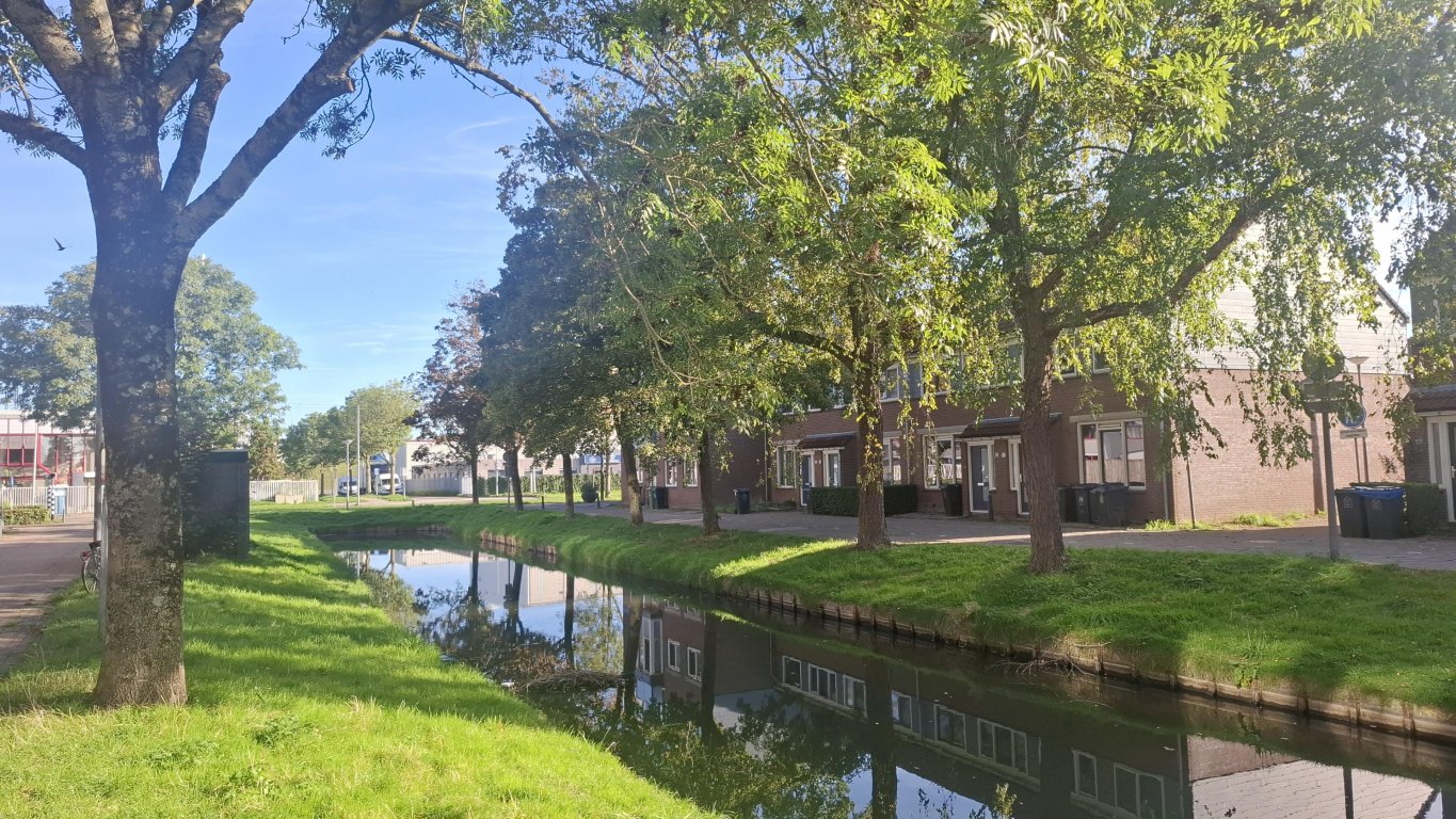 Foto 1 van Rhijnauwensingel 21 in Rotterdam