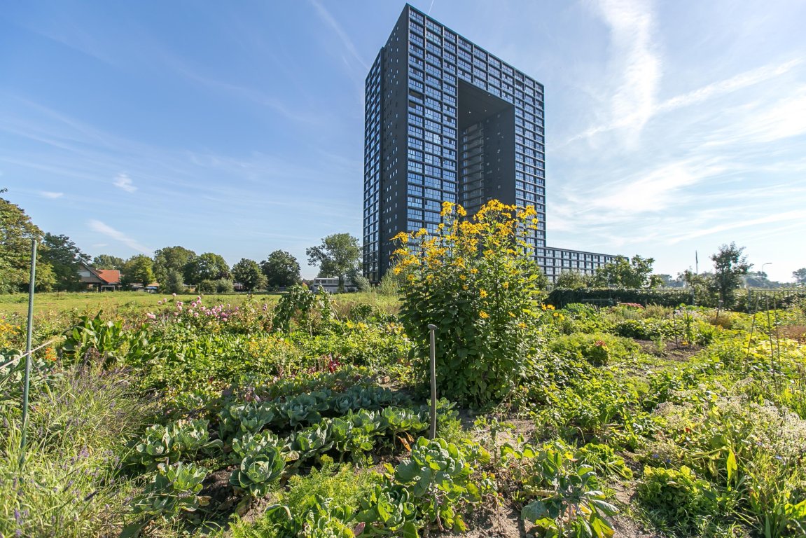 Foto 1 van Regattaweg 322 in Groningen